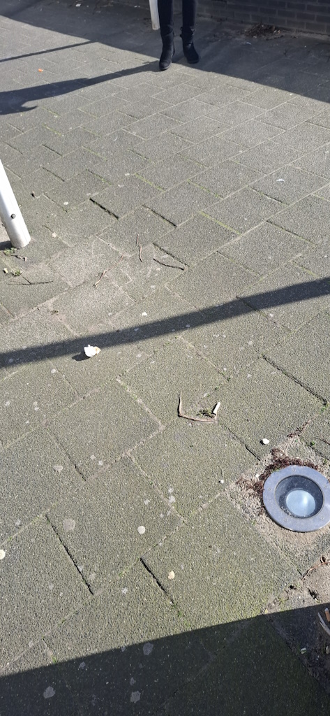 Ergens bij vlaggen langs het water