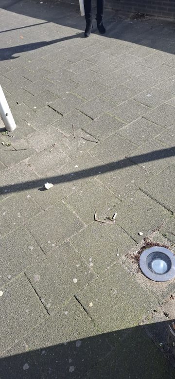Ergens bij vlaggen langs het water
