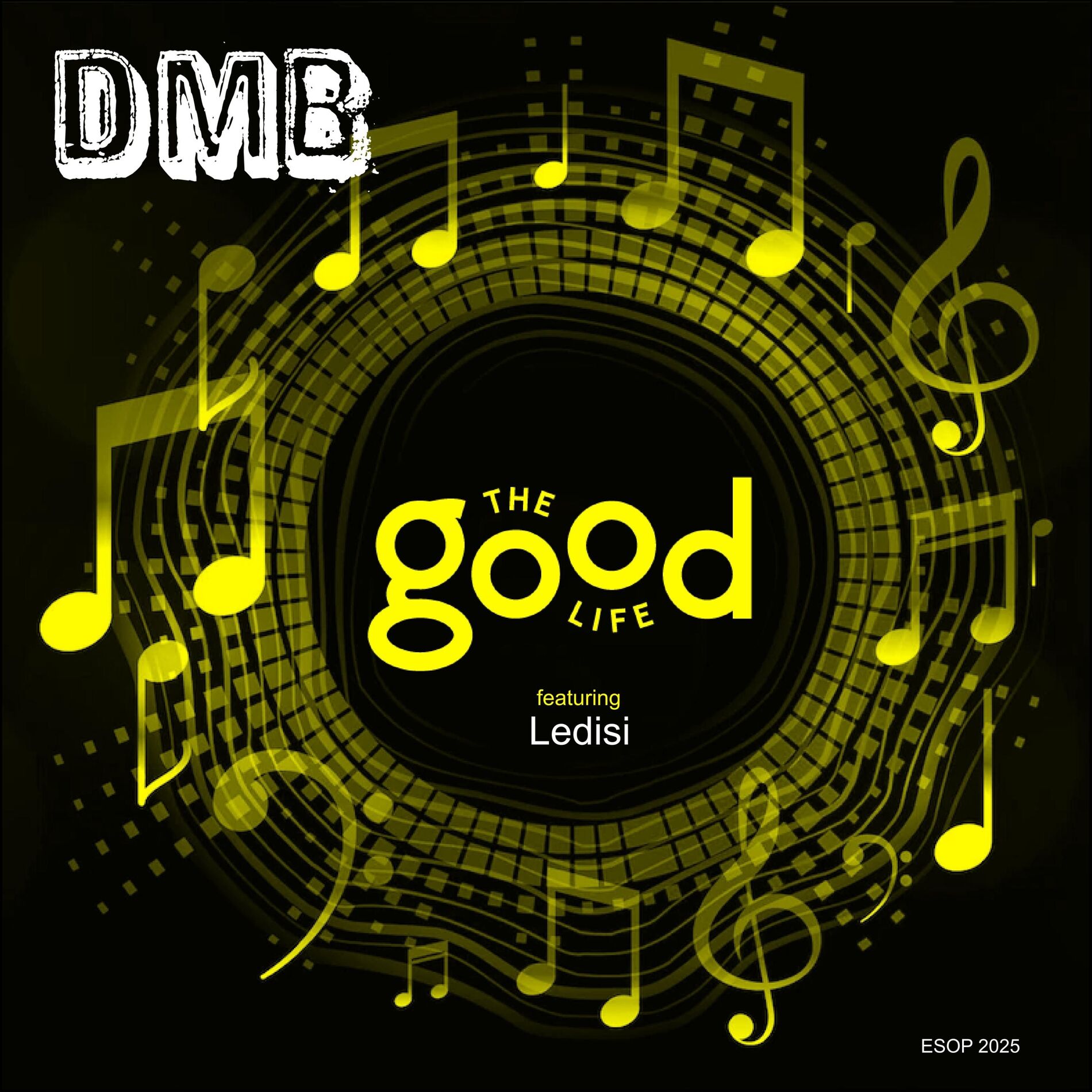 artwork DMB ft Ledisi - The good life