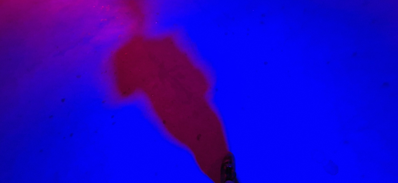 Silhouette op de vloer