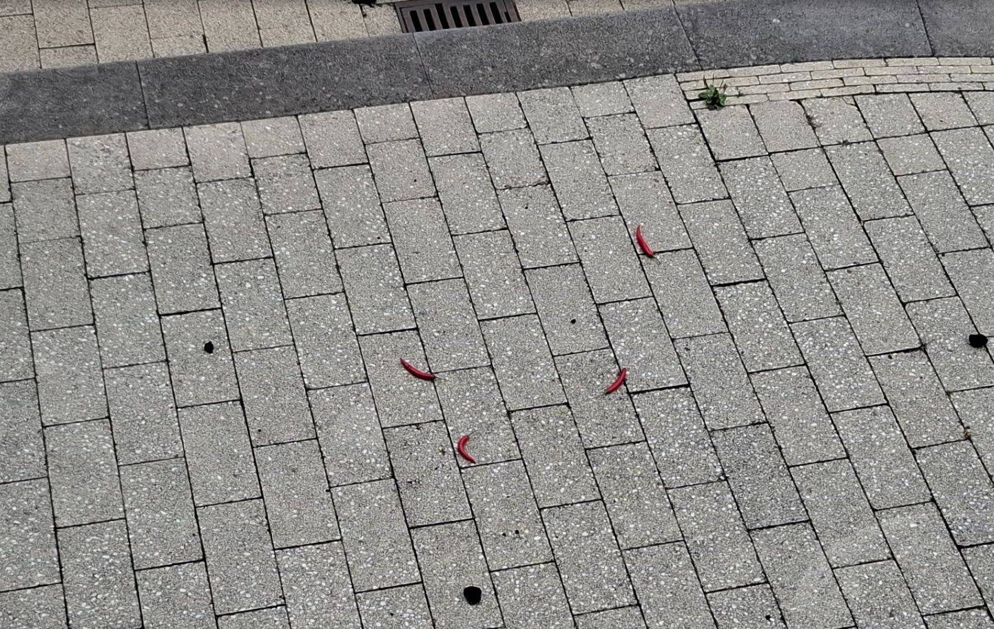 pepers op de stoep