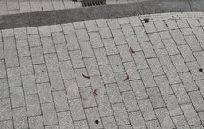 pepers op de stoep